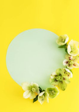 Yumuşak bahar çiçekleri