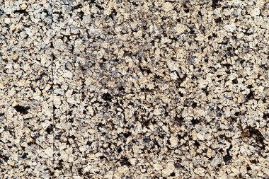 kahverengi mantar doku