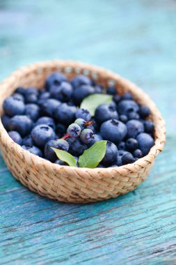 Olgun taze yaban mersini