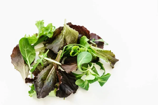Pile of fresh salad leaves — Stock Photo, Image