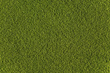 çim kalıp--dan golf sahası