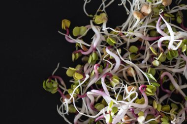 taze küçük lahanası