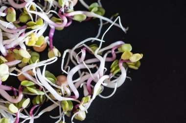 taze küçük lahanası