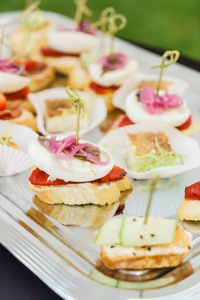 Deliziosi antipasti sul piatto — Foto Stock