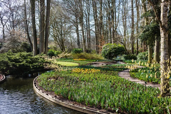 Spring garden on sunny day — Stock Photo, Image