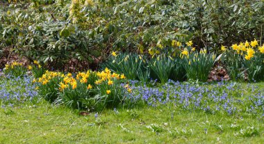 Güneşli bir günde bahar bahçesi