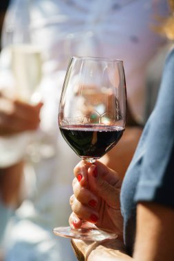 Yemeğinizi hazırlayabileceğiniz alkollü içecekler