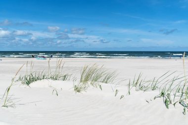 Baltık Denizi üzerinde beyaz kum plaj