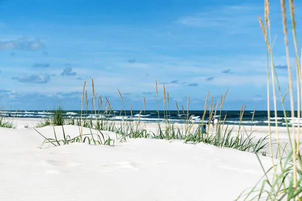 Praia de areia branca no Mar Báltico — Fotografia de Stock