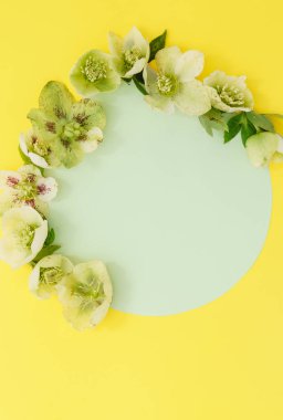 Yumuşak bahar çiçekleri