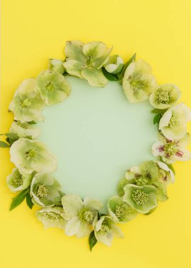 Yumuşak bahar çiçekleri