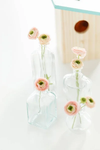 Tender spring flowers — Stock Photo, Image