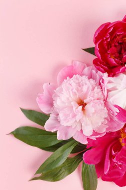güzel ihale peonies