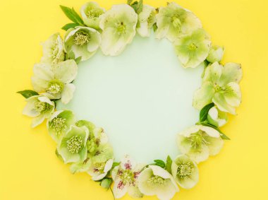 Sarı Çiçekli Çerçeve