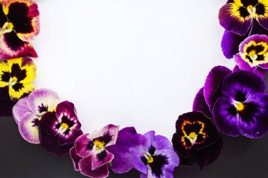 Homo çiçekli çerçeve