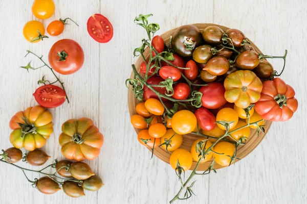 Colorful ripe tomatoes — Stock Photo, Image