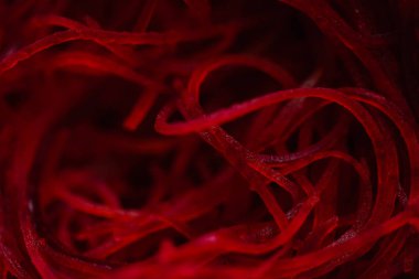 dilimleri pancar arka plan. 