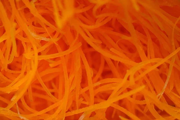 Fette carota sfondo . — Foto Stock