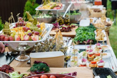 Tablo piknik üzerinde meze