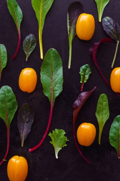 Baby salad leaves — Stock Photo, Image