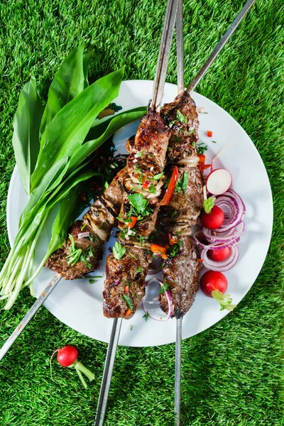 Läcker grillad kebab — Stockfoto