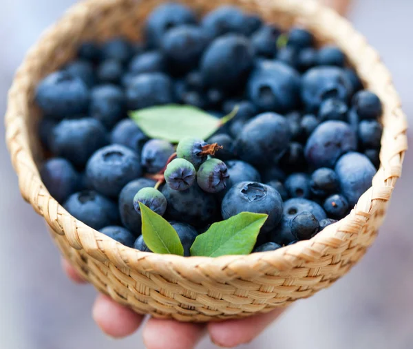 Ripe fresh blueberries — Stock Photo, Image