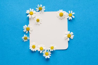 ihale papatya çiçekleri