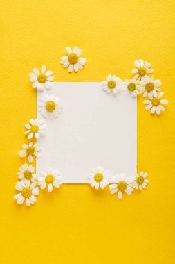 ihale papatya çiçekleri