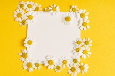 ihale papatya çiçekleri