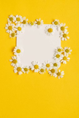 ihale papatya çiçekleri