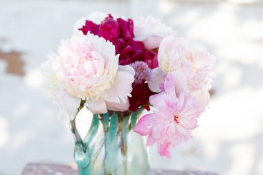 taze Bahçe peonies