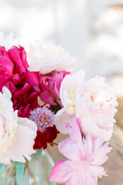 Fresh garden peonies — Stock Photo, Image