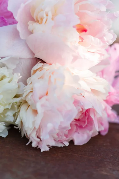 Fresh garden peonies — Stock Photo, Image