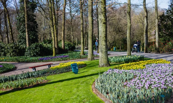 Våren trädgårdsutsikt — Stockfoto