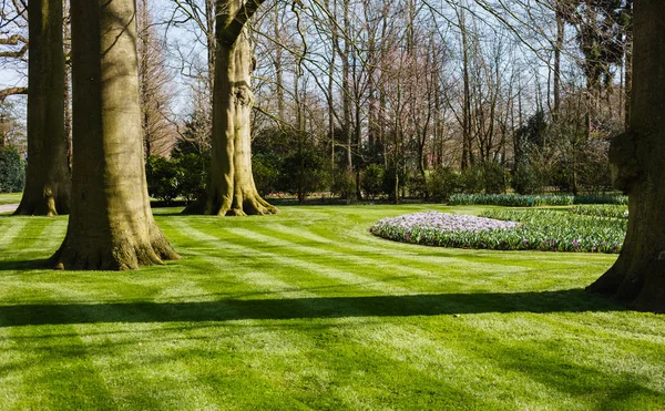 Spring garden view — Stock Photo, Image