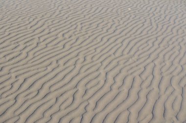 dalgalı kum arka plan