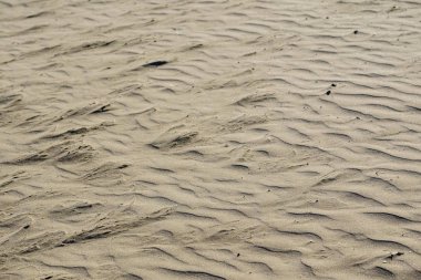 dalgalı kum arka plan