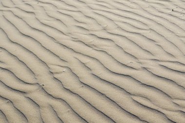 dalgalı kum arka plan