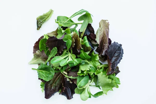 Verse salade bladeren — Stockfoto