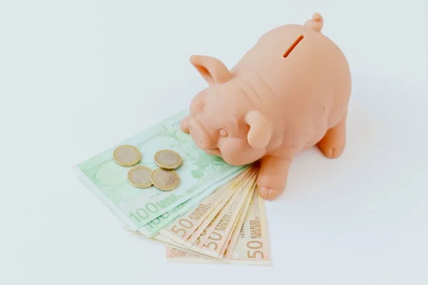 Sparschwein mit Banknoten und Münzen — Stockfoto