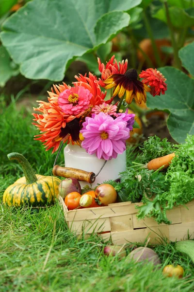 Heldere herfst arrangement — Stockfoto