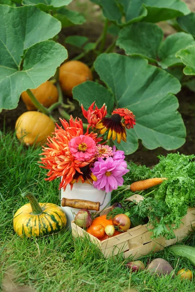 Bright autumn arrangement — Stock Photo, Image