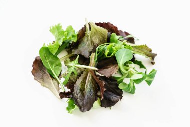 taze salata yaprakları