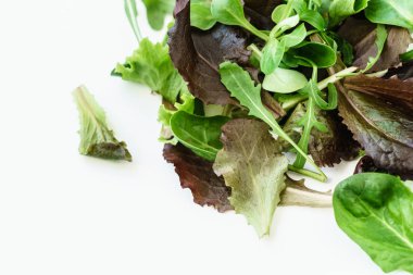 taze salata yaprakları