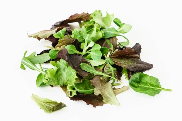 Fresh salad leaves — Stock Photo, Image