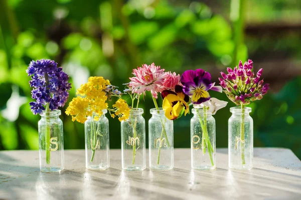 Leuchtende Sommerblumen — Stockfoto