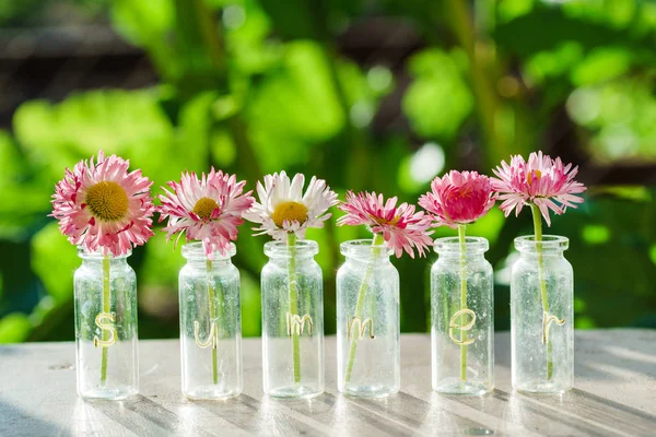 Leuchtende Sommerblumen — Stockfoto