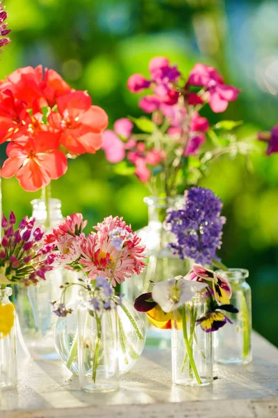 Brilhantes flores de verão — Fotografia de Stock