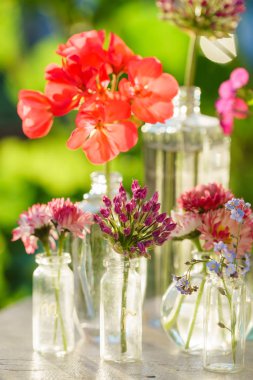 aydınlık yaz çiçek