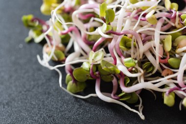 taze yeşil lahanası